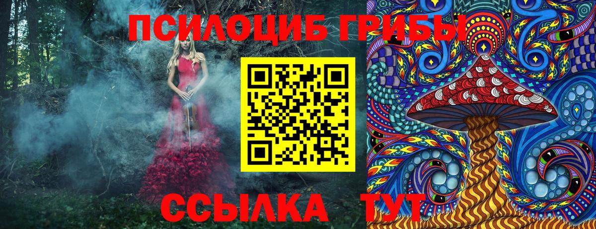 Псилоцибиновые грибы Magic Shrooms Всеволожск